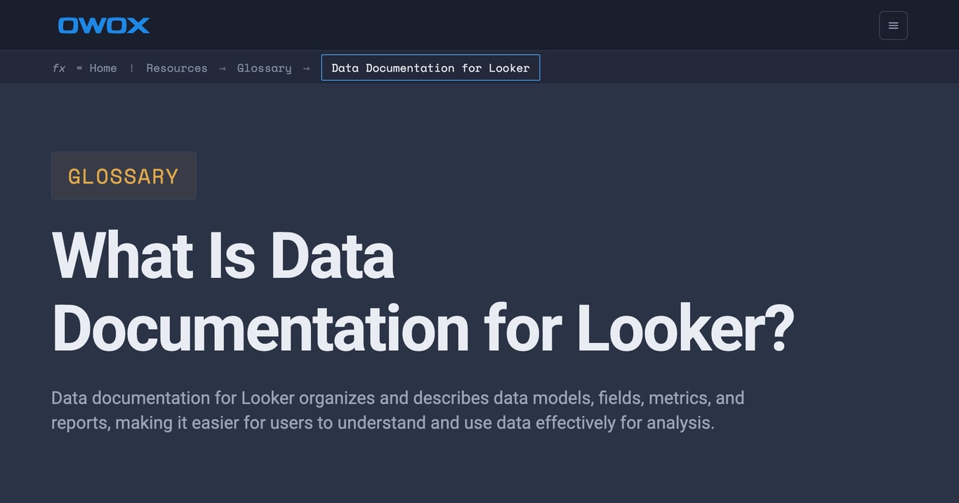 Data Documentation for Looker