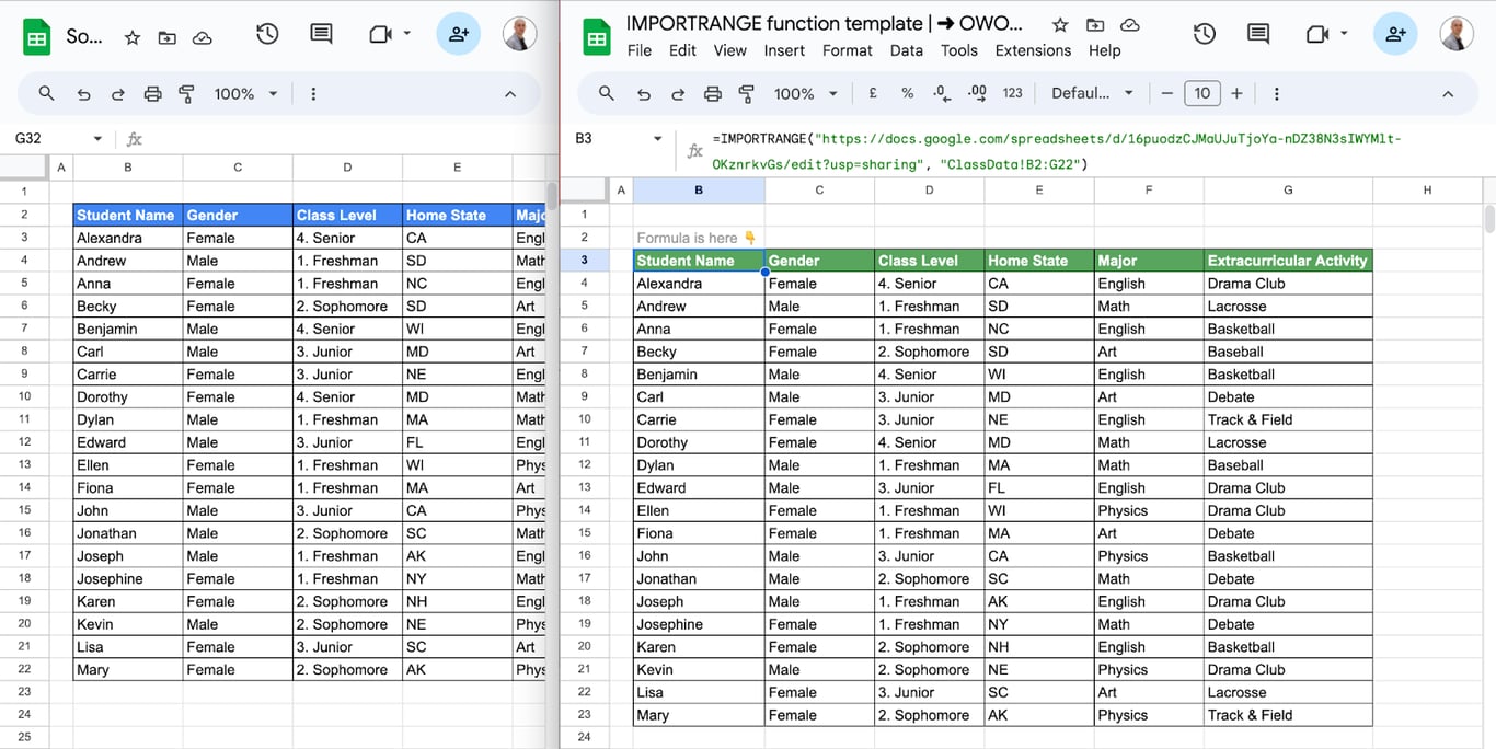 Example of using the IMPORTRANGE function in Google Sheets for effective data sharing across multiple sheets. i-border