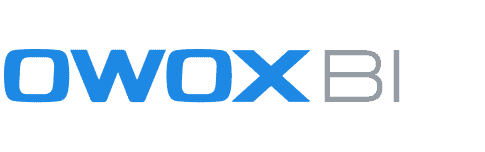OWOX BI,  a powerful analytics platform that offers real-time data collection and advanced machine learning for marketing optimization.