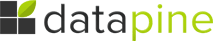 Datapine logo