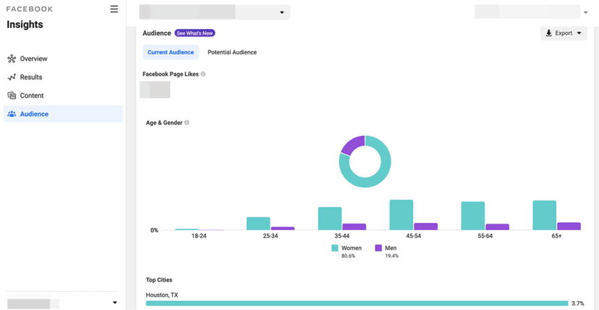 Facebook Insights Audience report displaying demographic data, including age, gender, top cities, and Facebook page likes.