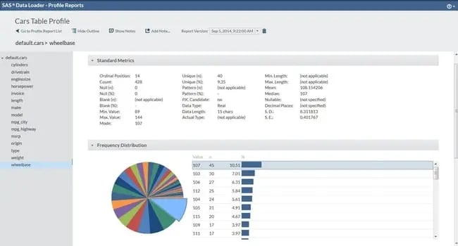 SAS Data  Management Loader’s profile report for a dataset, displaying standard metrics and a frequency distribution with a pie chart.