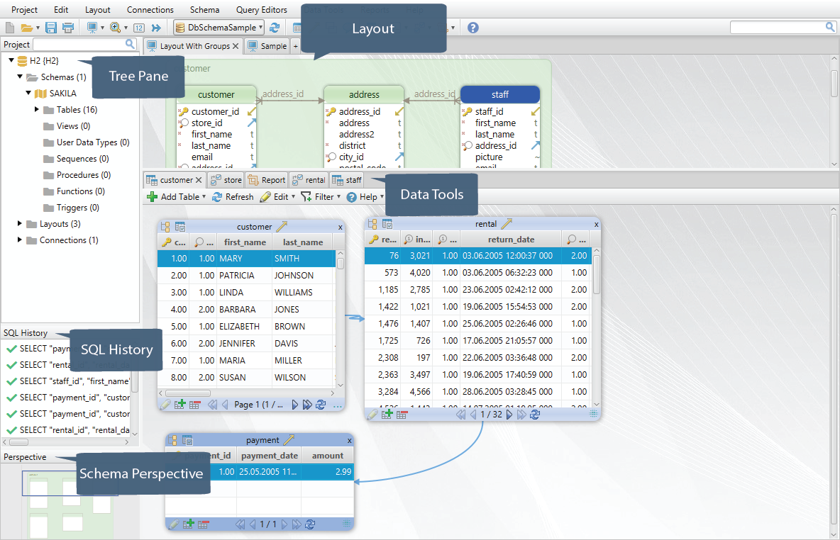 DbSchema platform with schema layout and live data browsing for customer and rental tables. i-shadow