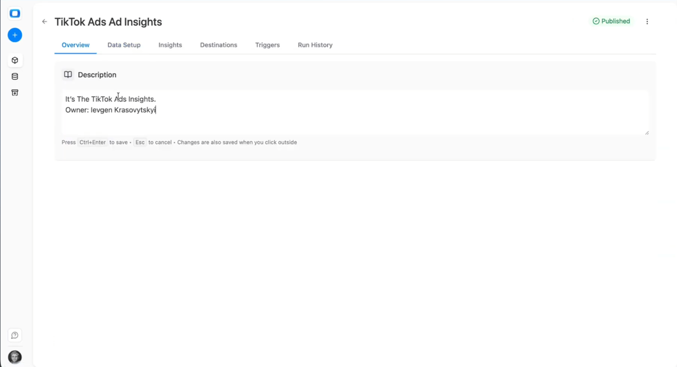 Overview tab in OWOX Data Marts showing description field for TikTok Ads data mart. i-shadow