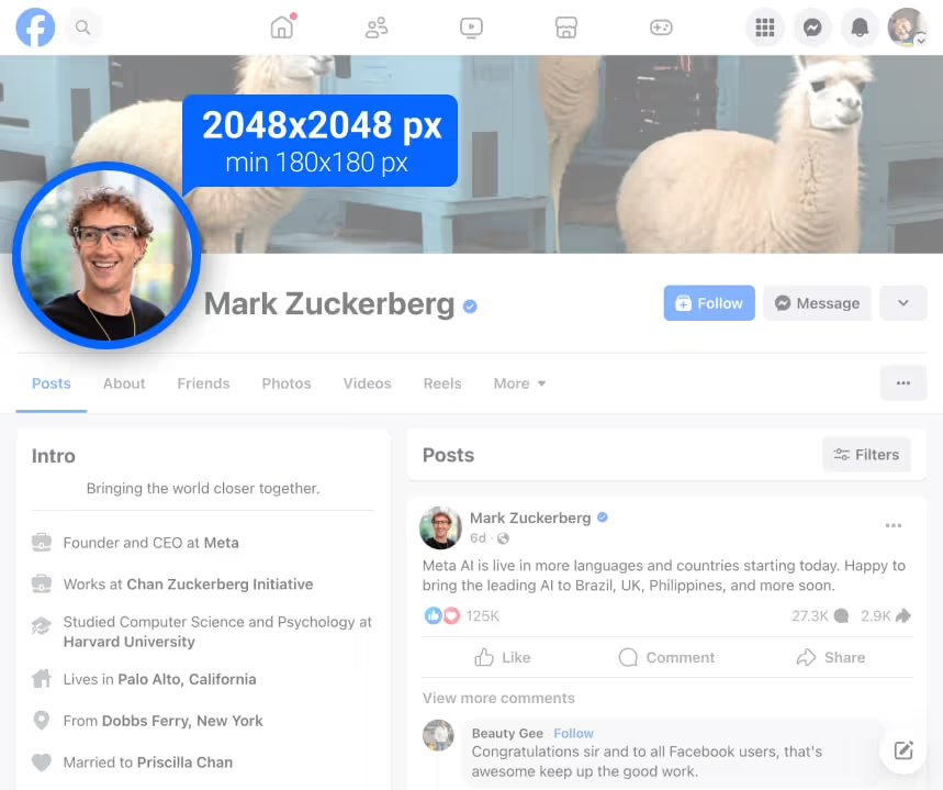 Facebook profile image as it appears on personal profiles. i-border i-radius