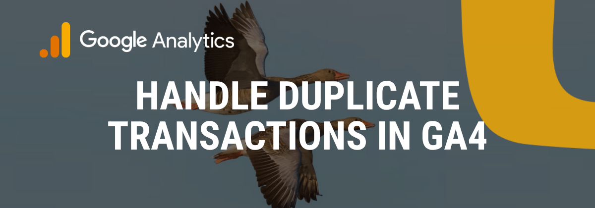Definition of Duplicate Transactions in the context of analytics. i-radius