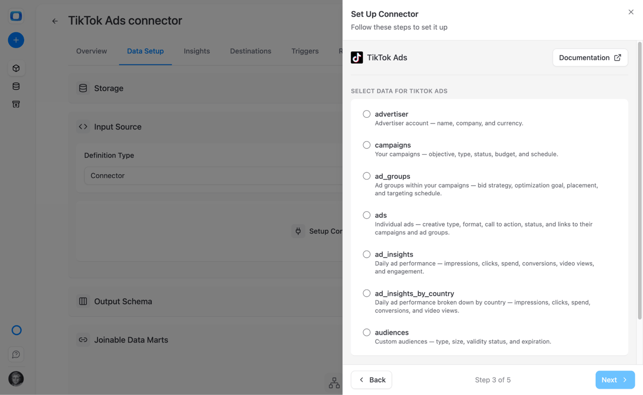 OWOX TikTok Ads endpoint selection showing available API resources for Databricks import